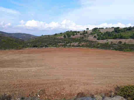 Χωράφι για φωτοβολταϊκό Εύβοια